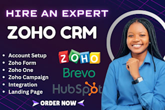 customize zoho CRM, zoho one, zoho forms, zoho campaigns, brevo automation