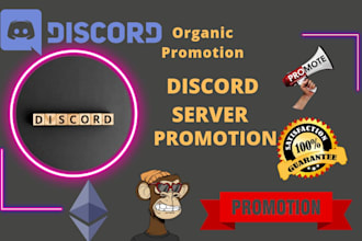 boost your discord server with professional promotion