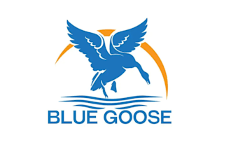 design a unique, professional blue bird logo with branding for your business
