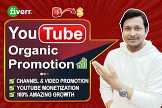 be your youtube seo expert and video organic promotion specialist