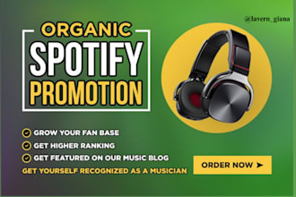 do spotify album promotion, spotify music track promotion