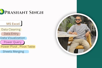 collect, clean, organize, merge, split, entry your excel data