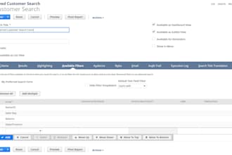 support on netsuite saved search and report customization