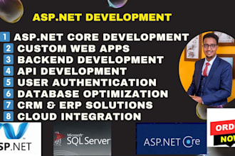 develop aspnet core web apps and API solutions with ms sql