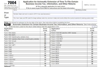 prepare extensions for 1065,1120