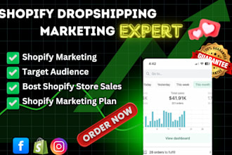 fix shopify social media marketing, meta ads for fast growth