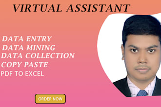 be your virtual assistant for data entry, file conversion jobs