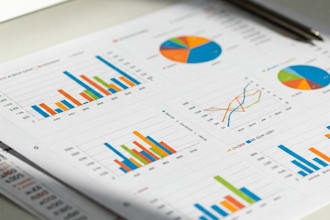 data analysis and excel expert