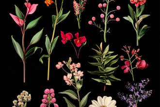 draw botanical and flower beautifully