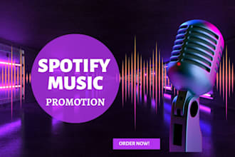 organically promote your spotify music using google ads campaign and meta ads