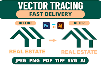 professionally convert your logo or artwork to clean vector