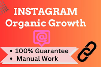 promote and manage instagram organic growth
