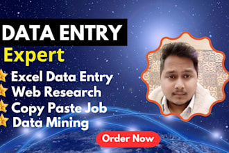 do fast accurate data entry, typing, copy paste, excel, files convertion