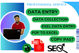 do fastest data entry, data collection, copy paste work