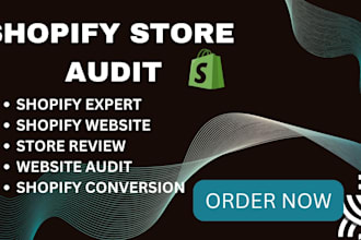 audit review your shopify website expert for shopify conversion
