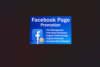 promote your facebook page professionally
