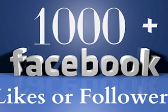 1000 organic facebook followers fast