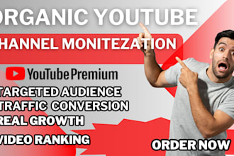 promote youtube channel boost traffic video ads views setup promotion
