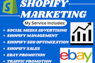 boost shopify ebay store marketing promotion traffic ads sales views seo manager
