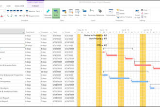manage cost, schedule, and risks for your projects