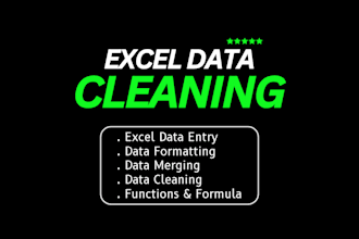 do excel data cleaning, formulas and pivot table expert