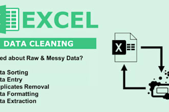 data cleaning, formatting anything in ms office
