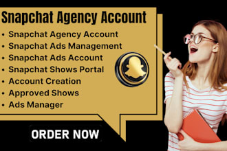 create an approved snapchat ads manager, snapchat agency account, show portal