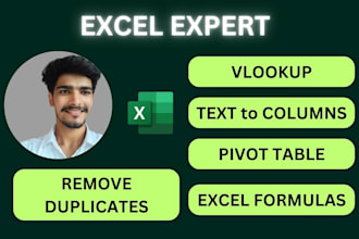 create pivot tables, vlookup, and excel formulas for data analysis