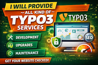 provide all kind of typo3 services