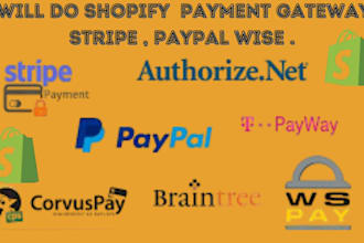payment gateway  API  in shopify website, stripe,paypal wise