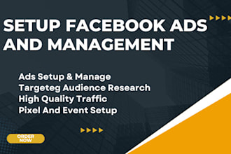 setup and run profitable facebook and instagram ads campaign