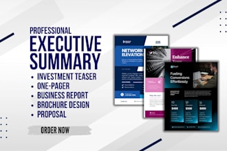 do executive summary proposal investment teaser  one pager executive summary
