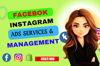 set up and manage your shopify facebook ads campaign
