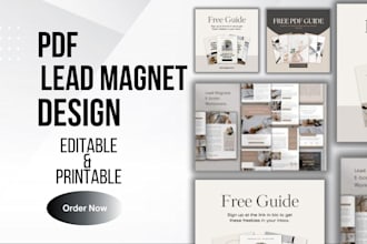 pdf lead magnet design canva lead magnet powerpoint design brochure ebook design
