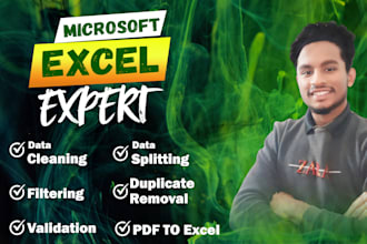 clean your excel data professionally