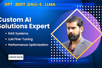 create custom rag systems and fine tune gpt, bert, and llms
