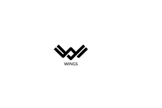 do wings logo design for your brand within 24 hours