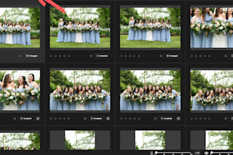 cull your wedding, event, portrait photos quickly