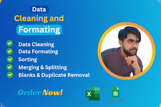 clean, format, merge, organize and split excel data professionally
