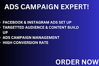 promote your brand through ads campaign to boost your business
