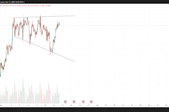 do financial forecasting and manage your portfolio