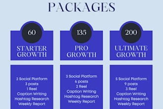 do monthly social media management and content creation for your brand