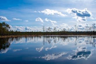 submit your estonian company annual report