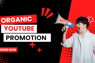do youtube channel promotion video SEO to reach organic views