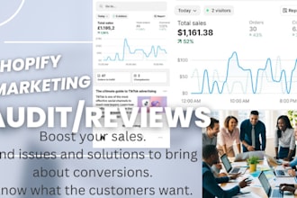 audit, review, and optimize your shopify dropshipping store