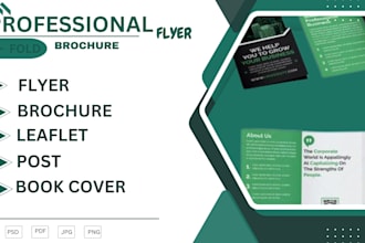 design professional flyers, brochure trifold