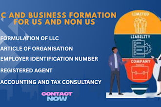 do llc business formation for us and non us business