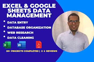 do fast, accurate data entry, excel cleanup