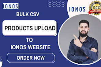 upload bulk products to ionos website CSV import and product management