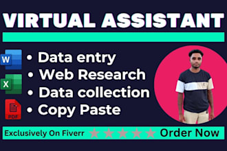 be perfect and accurate data entry, copy paste and web research job